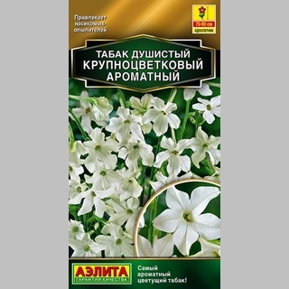 Табак Ароматный душистый