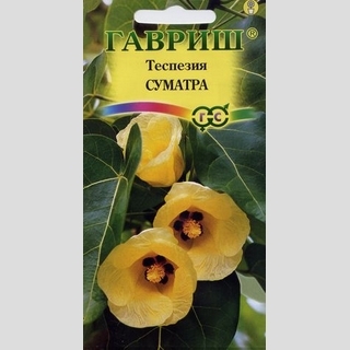 Теспезия Суматра