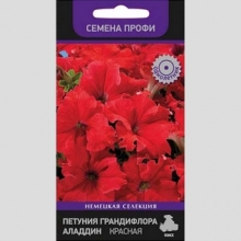 Петуния Аладдин F1 Красная (Семена Профи)