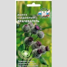 Лопух Врачеватель большой