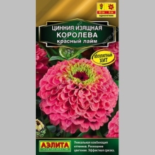 Цинния Королева Красный лайм