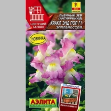 Львиный зев Кракл энд Поп F1 Эпплблоссом