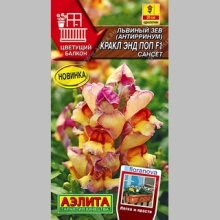 Львиный зев Кракл энд Поп F1 Сансет