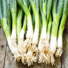 Лук Русский зимний