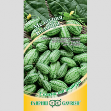 Мелотрия Колибри