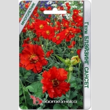 Геум Блэйзинг Сансет махровый (гравилат)