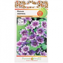 Мальва Зебрина