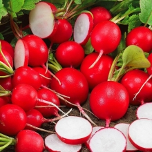 Редис Дуро Краснодарское