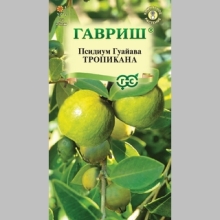 Гуайава Тропикана (псидиум)