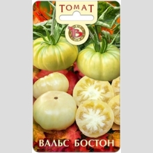 Томат Вальс Бостон