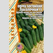 Огурец Бостонский Засолочный F1 (Boston Pickling) (большой пакет)