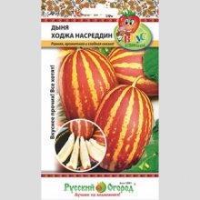 Дыня Ходжа Насреддин