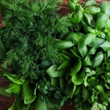 Набор Зелени для подоконника, сада Ароматный Беспредел