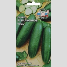 Огурец Балконное Чудо ® F1