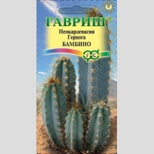 Цереус Бамбино перуанский