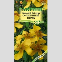Зверобой Солнечный нимб (Геблера)