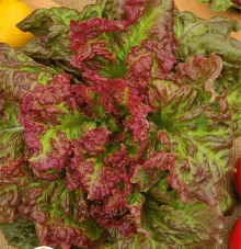 Салат Ореховый (полукочанный)