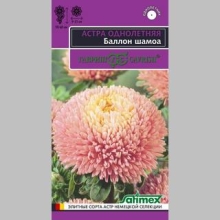 Астра Баллон Шамоа