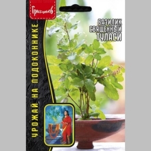 Базилик Туласи священный (большой пакет)