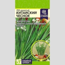 Лук Душистый Китайский Чеснок