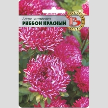 Астра Риббон Рэд