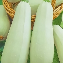 Кабачок 13 Стульев