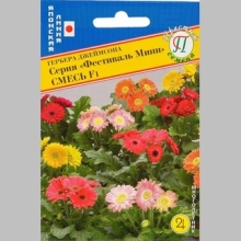 Гербера Фестиваль мини F1 смесь