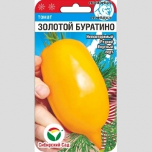 Томат Золотой Буратино