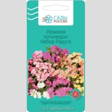 Левизия Котиледон Набор Радуга