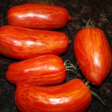 Томат Пестрый Римский (Striped roman) (большой пакет)