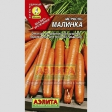 Морковь Малинка