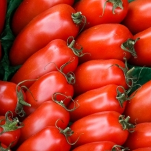 Томат Воловьи Уши