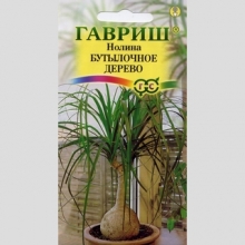 Бокарнея Бутылочное дерево (Нолина)