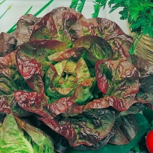 Салат 4 сезона (кочанный)