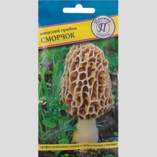 Грибы - Сморчок (мицелий) 60 мл