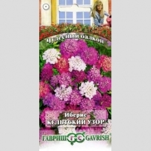 Иберис Кельтский узор