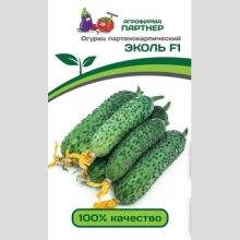Огурец Эколь F1