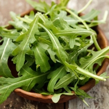 Рукола Быстрорастущая (индау посевная)