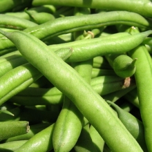 Бобы Царский урожай