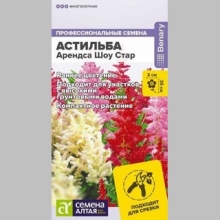 Астильба Шоу Стар (Арендса)