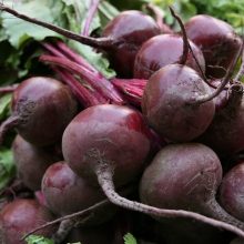 Свекла Детройт