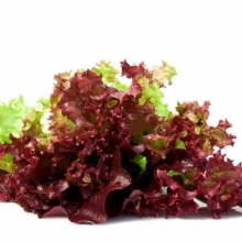 Салат Обжорка