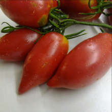 Томат Минусинский Кистевой (большой пакет)