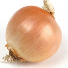Лук Здоровья Друг репчатый