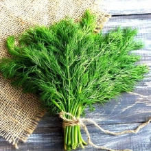 Укроп На пучок