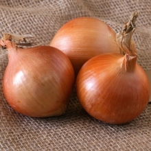 Лук Мячковский 300