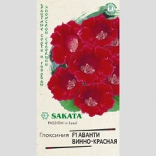 Глоксиния Аванти винно-красная F1