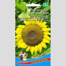 Подсолнечник Покровский