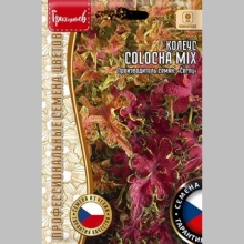 Колеус Colocha Mix (большой пакет)