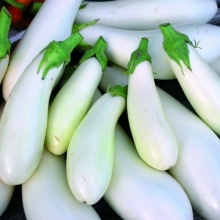 Баклажан Пеликан F1